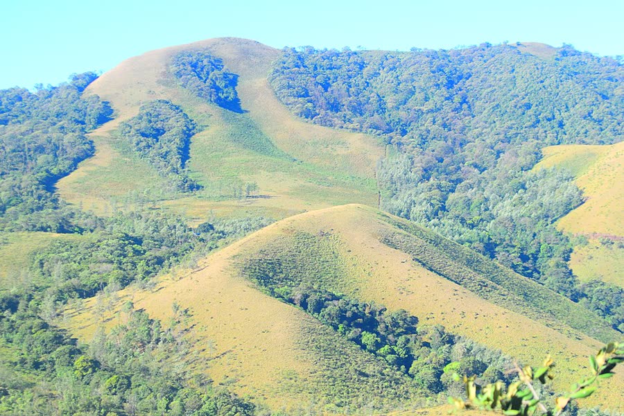 Mullayanagiri hills in Chikmagalur, Karnataka