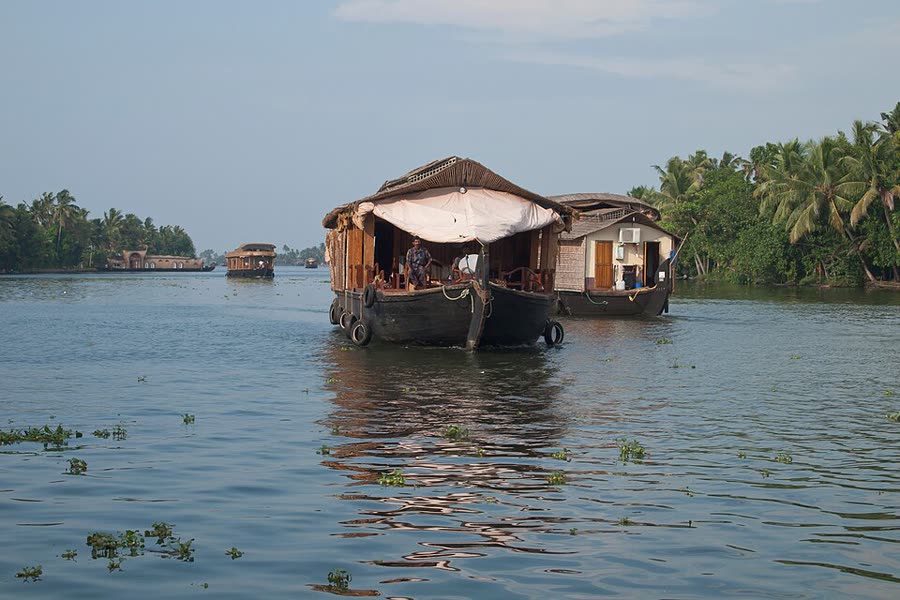 Houseboats on Kerala's backwaters at dusk